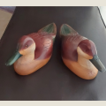 A Pair of Hottentot Teal Ducks - Feathers of Knysna Collectors
