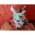 Coca Cola -  Collectors Guitar "" Faulty"""