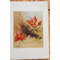 1983 JEANETTE DYKMAN BOUQUET OF 5 PRINTS A3 SIZE