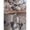Natal Transvaal Western Province Rugby photos from the 1970s