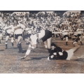 Natal Transvaal Western Province Rugby photos from the 1970s