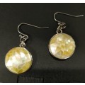 Lovely shell earrings in cream pearl - Sterling Silver hooks. E14
