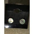 Paua Shell stud earrings. E114