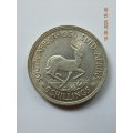 1950  S.A UNION  -  5 SHILLINGS COIN