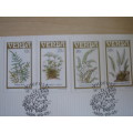 1985 Venda - Plants, Trees, Ferns - 4 stamps on FDC