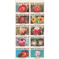 RSA 1969 EASTER LABELS BOOKLET COMPLETE WITH MNH PANE OF 10 - PROTEA NANA STAMP TOP LEFT