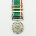 Miniature: South African Vir Troue Diens Medal & 4 bars.