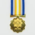 Full Size: Medal For 100 Years Of Policing. 1913 - 2013.