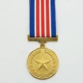Full Size: South African Medal Gold.
