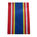 Full size - SAPS 10 Year Service. 15 CM. New Medal Ribbon