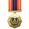 Full Size Medal - SA Pro Patria Third Type #130620