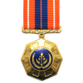 Full Size Medal - SA Pro Patria Fourth Type189999