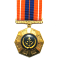 Full Size Medal - SA Pro Patria Fifth Type #227586