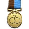 Full Size Medal - Venda Distinguished Service with Small Flaw in Medal.