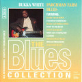 Bukka White - Parchman Farm Blues CD Mint Condition (IMPORT)