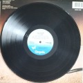 Jellybean - Just Visiting this planet (Vintage Vinyl / LP / Record)