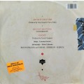 Bananarama - Do not disturb - Maxi (Vintage LP / Vinyl / Record)