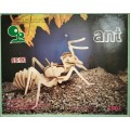 Wooden puzzle - Insect - unopened