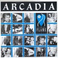Vintage LP / Vinyl / Record - Arcadia - The flame (extended remix)