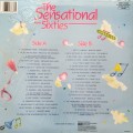 Vintage Vinyl / LP / Record - The sensational sixties - 40 original non-stop hits