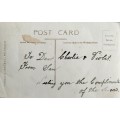 Vintage picture post card - South Africa - Port Elizabeth Town Hall (unused)