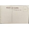 Vintage post card - South Africa - Kalkbay