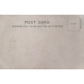 Vintage post card - South Africa - Natal Government Railway