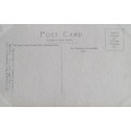 Vintage post card - South Africa - George/Oudtshoorn line