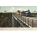 Vintage post card - South Africa - Railway bridge over Zambesi