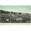 Vintage post card - South Africa - Grahamstown market