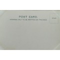 Vintage post card - South Africa - Grahamstown market