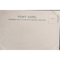 Vintage post card - South Africa - Kroonstad town hall/Cross Street