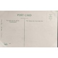 Vintage post card - South Africa - Johannesburg - Jeppestown