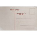 Vintage post card - South Africa - Inchanga - Railway line and bridge -