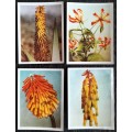 South African Flora - Incomplete set of Cigarette Cards (x79)
