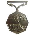 SOUTHERN AFRICA FULL SIZE MEDAL WITHOUT RIBBON - NUMBERED 53862.