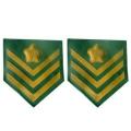 S.A.PRISON STAFF SERGEANT ARM RANK INSIGNIA WITH (BENDED) PINS. .