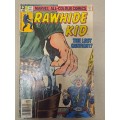 Rawhide Kid - 7 Vintage Comics