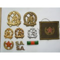 Lot 0f 10 SA Commando Badges.