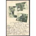 Cape Ocean PO: Scarce 1902 "SS Carisbrook Castle" card to Pietermaritzburg . See below.