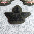 Singapore Senior Parabat wing badges