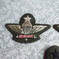 Singapore Senior Parabat wing badges