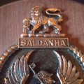 S.A Navy Saldanha Plaque,  size 160x125mm