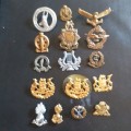 SADF Badges, all pins intact