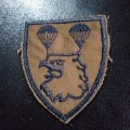 Parachute 2 Battalion nutria badge