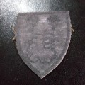 Parachute 2 Battalion nutria badge