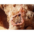 `Natures Gifts` Handmade Copper electroformed pendant with genuine Tourmaline/Quartz Ref. NG-3