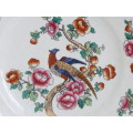 Semi-Porcelain 1908  1911 Pheasant dinner plate Ref: P-84