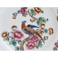 Semi-Porcelain 1908  1911 Pheasant dinner plate Ref: P-87