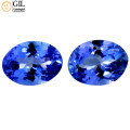 Sought After PAIR *TANZANITE* 1.45tcw CERTIFIED OVAL Shaped VVS Tanzanite GIL CERTIFIED